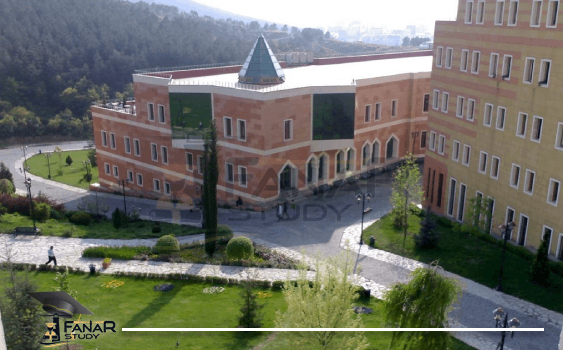 جامعة يدي تبه